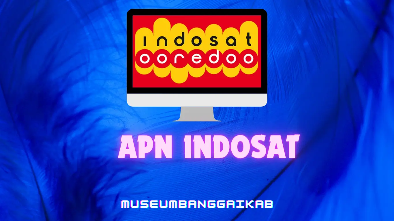 APN Indosat