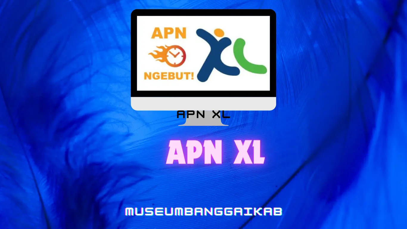 APN XL